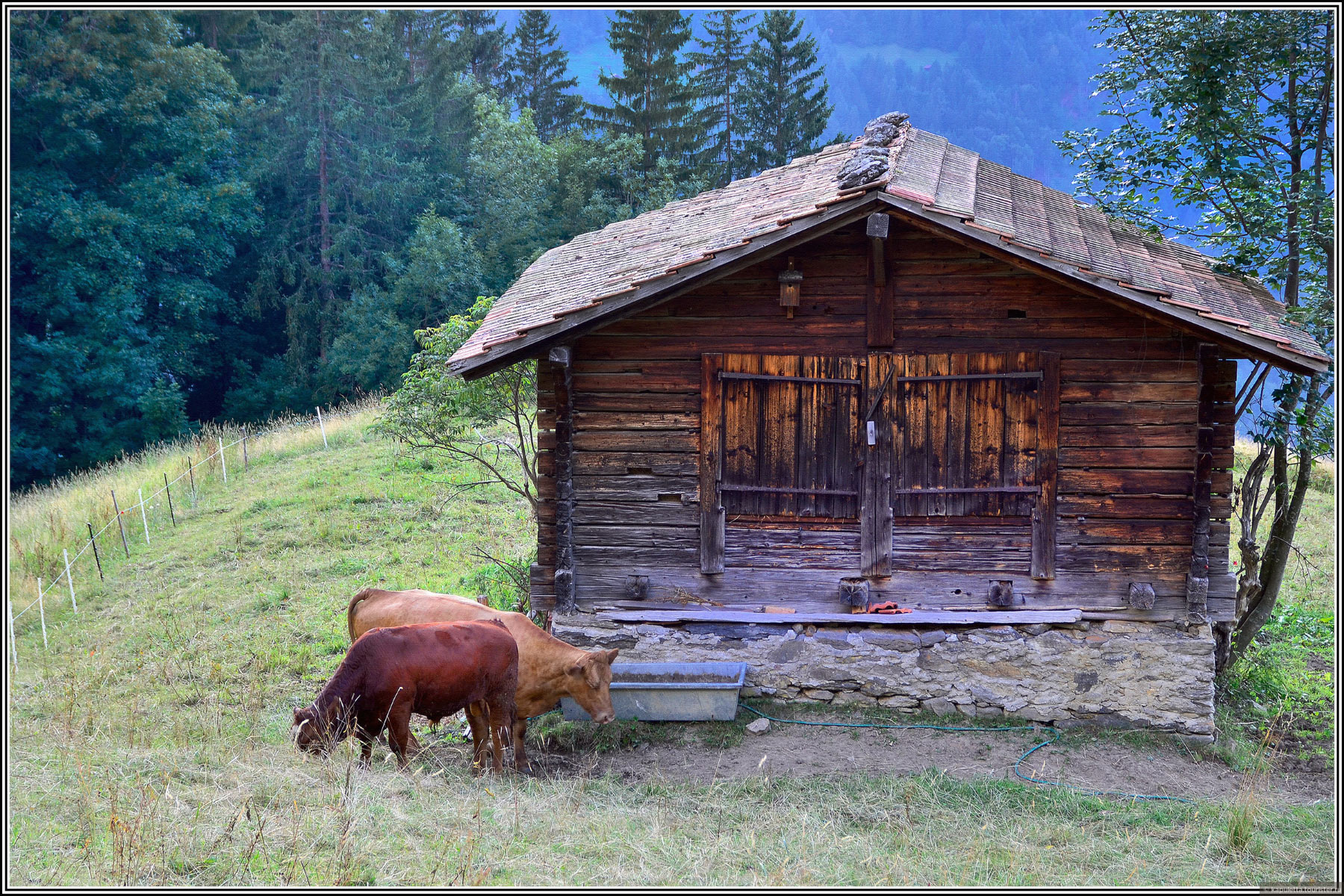 Wengen